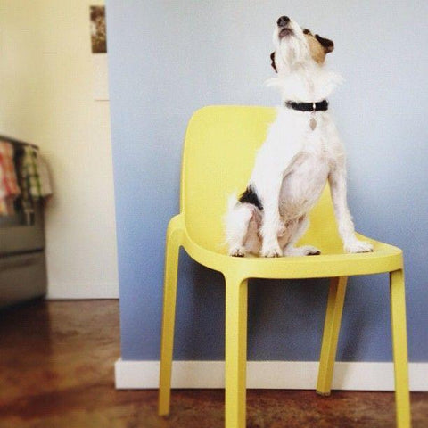 Emeco - In Stock Items