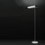 Floor  Lamps