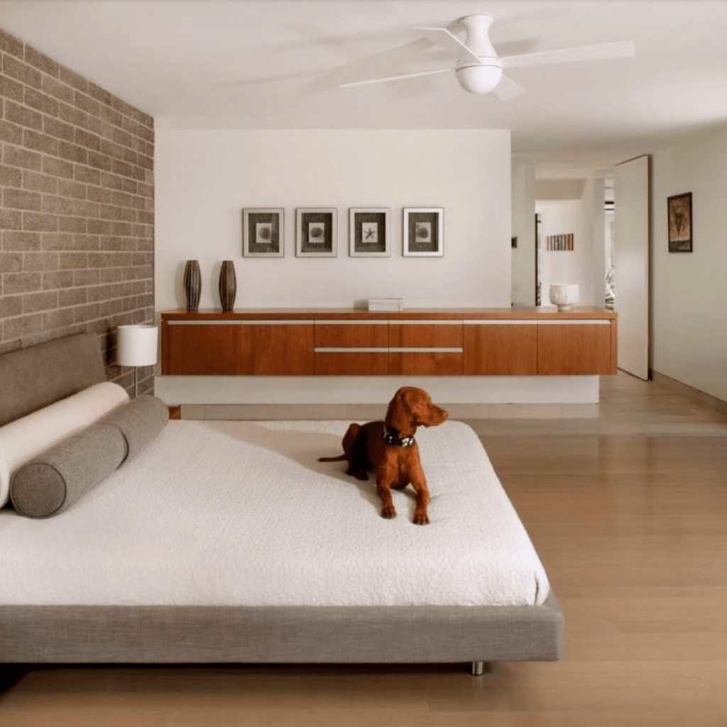 Ball Flush Ceiling Fans Modern Fan Co 