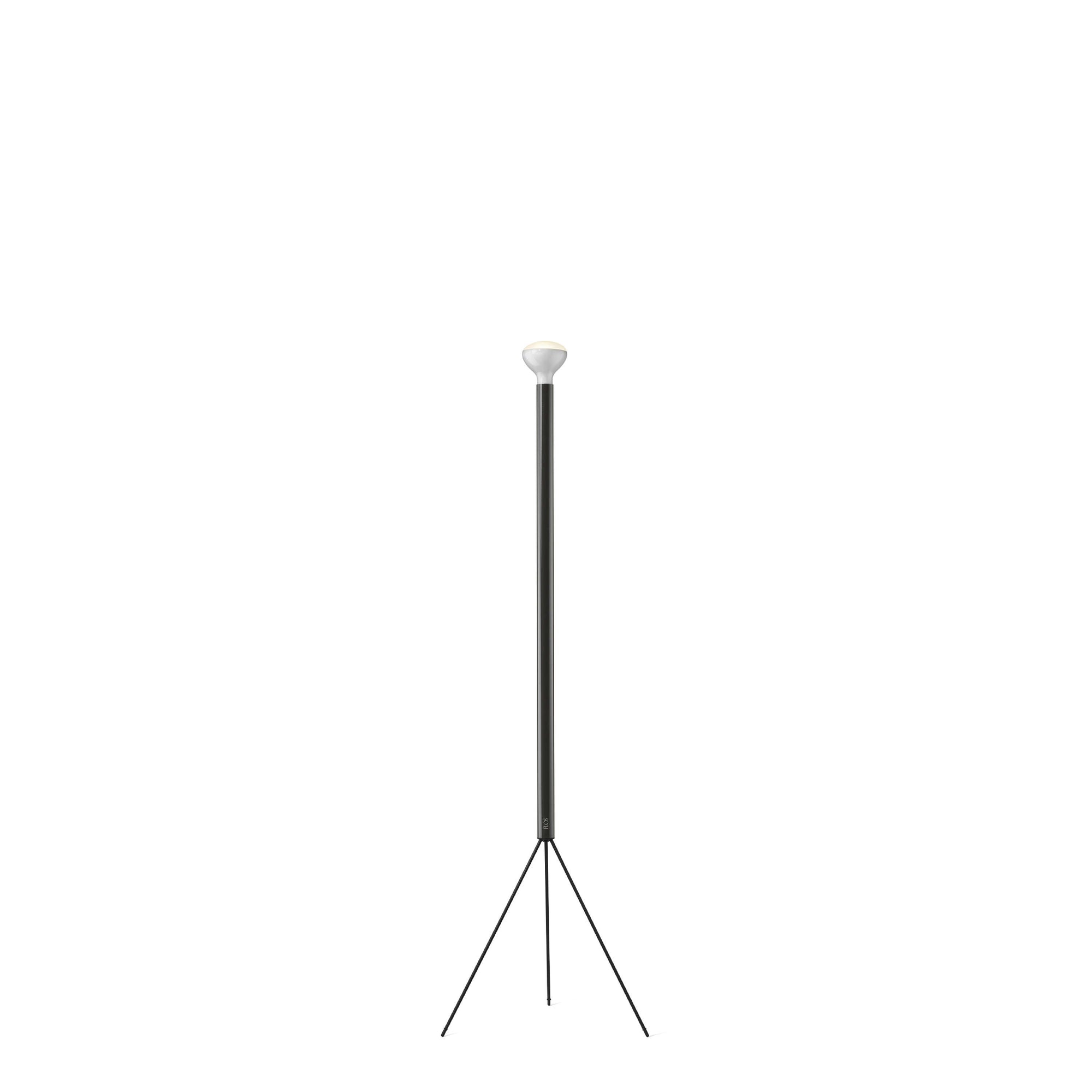 Luminator Floor Lamp