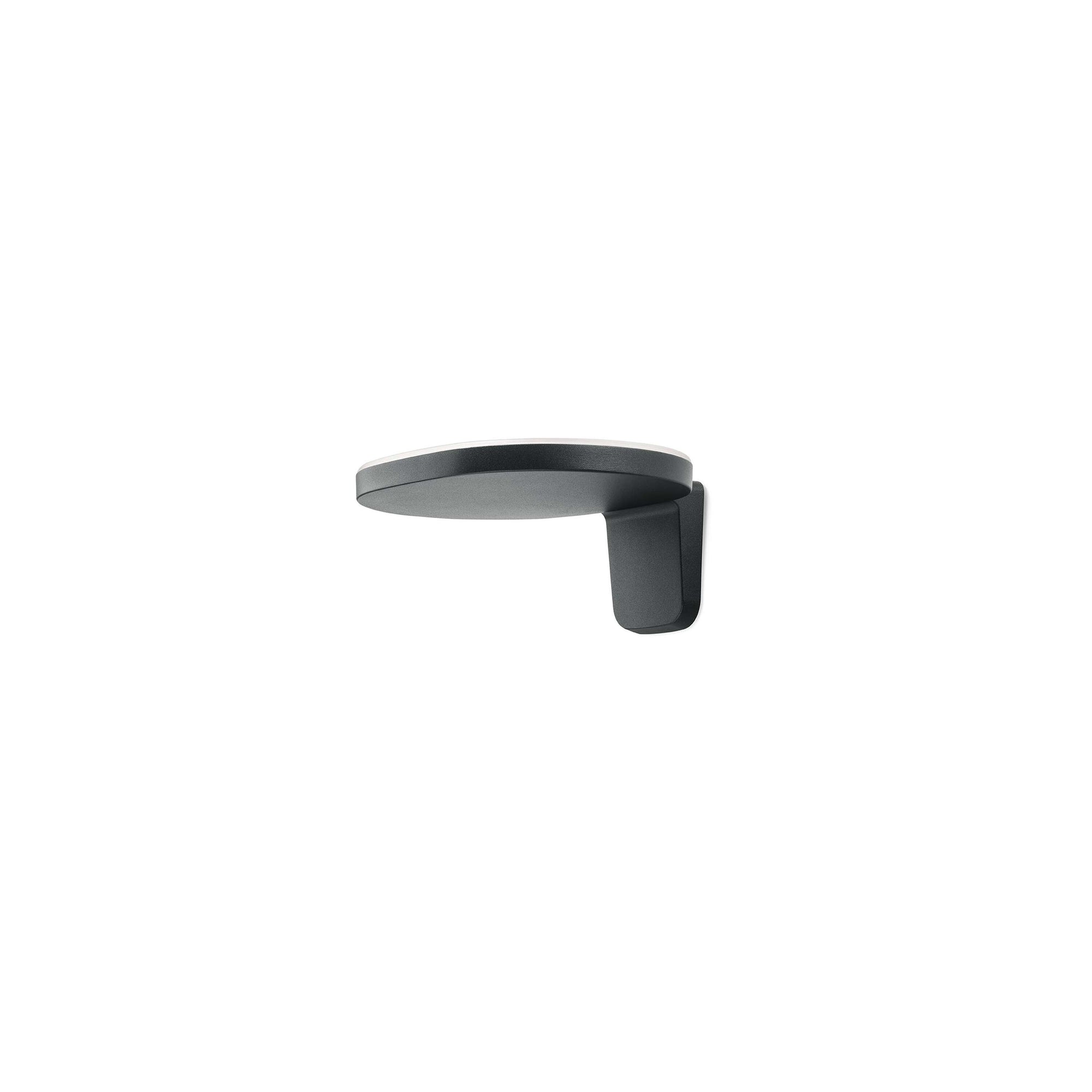 Oplight Wall Sconce