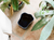 Riihitie Plant Pot B Accessories Artek 