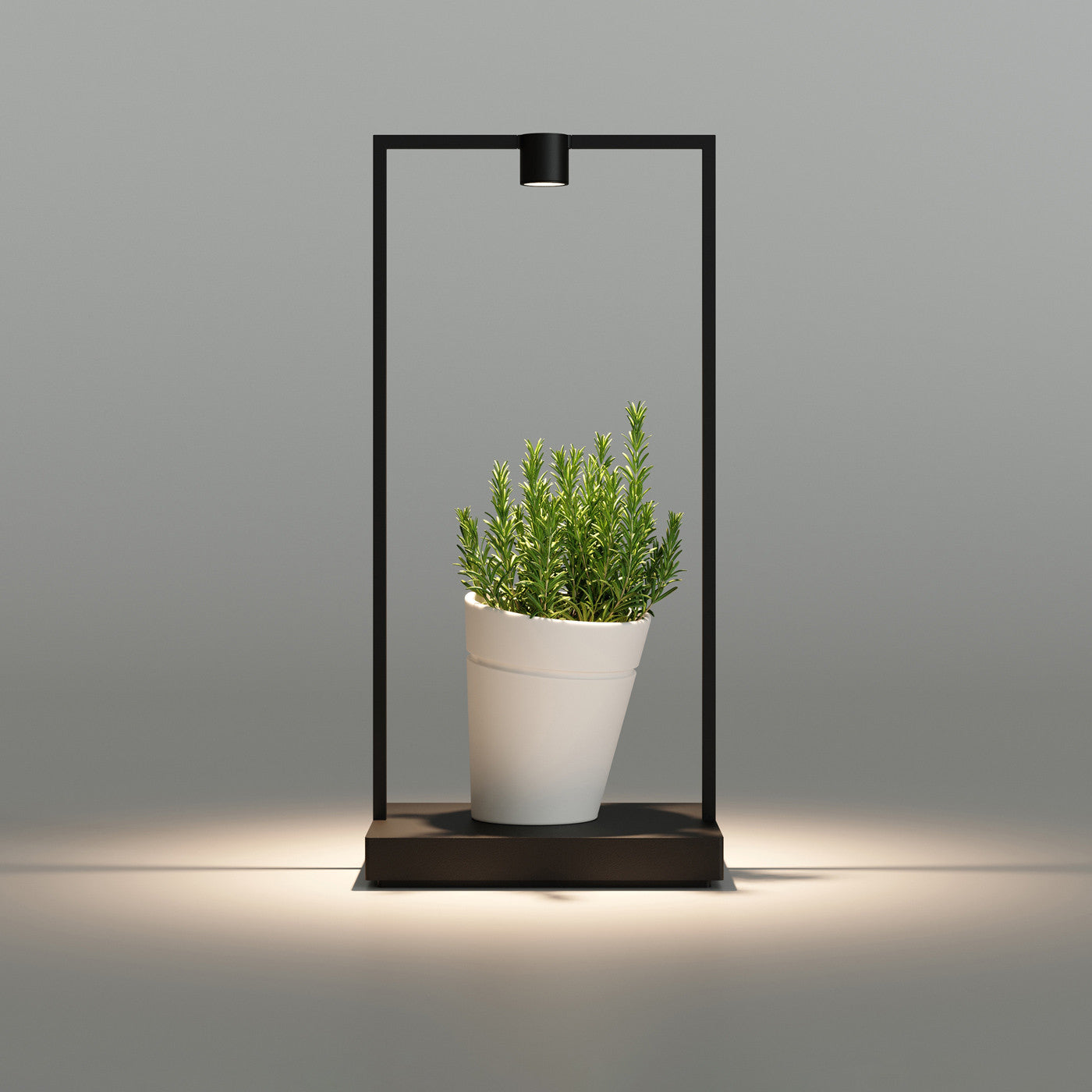 Curiosity 45 Table Lamp
