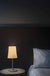 Birdie Easy Table Lamp Table Lamp Foscarini 