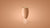 Buds 1 Table Lamp Table Lamp Foscarini 