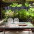 Dancing Queen Pendant Lamp