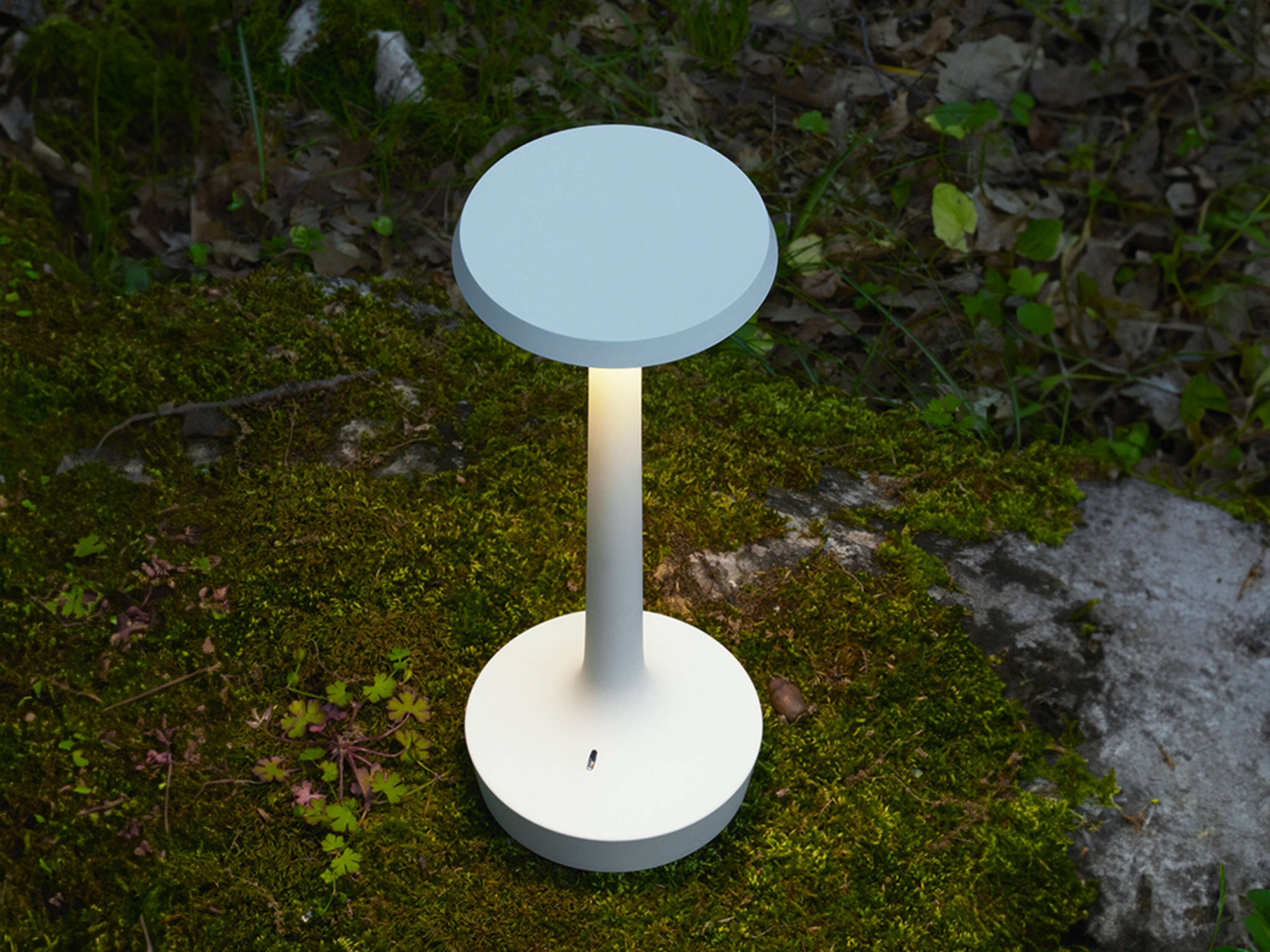 Bon Jour Unplugged Table Lamp