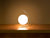 IC T1 Low Table Lamp