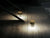 Last Order LED Table Lamp