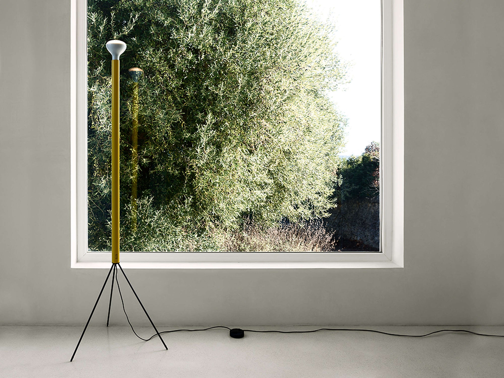 Luminator Floor Lamp