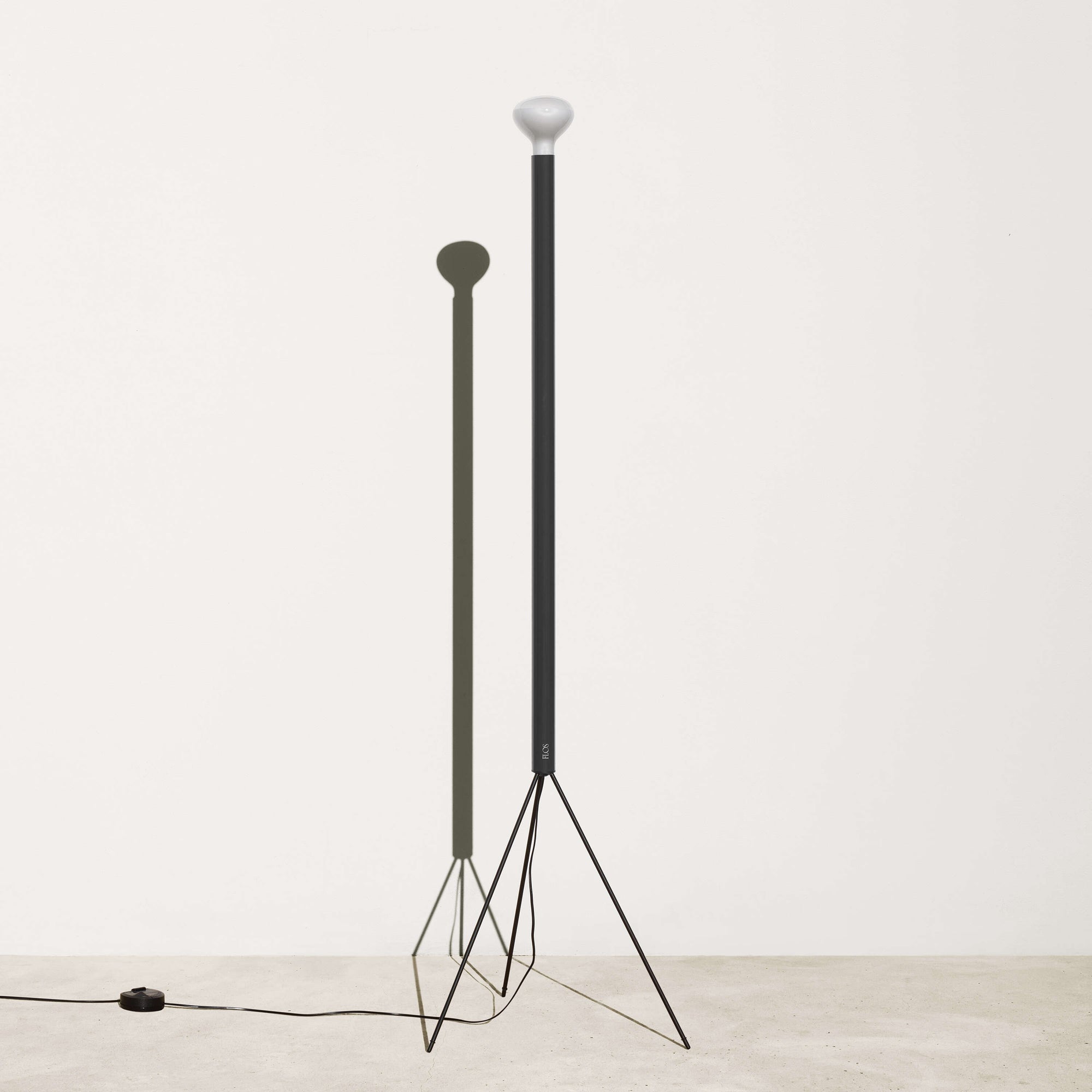 Luminator Floor Lamp