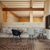 Bat Dining Chair - Front Upholstered with Plastic Base Chairs Gubi 