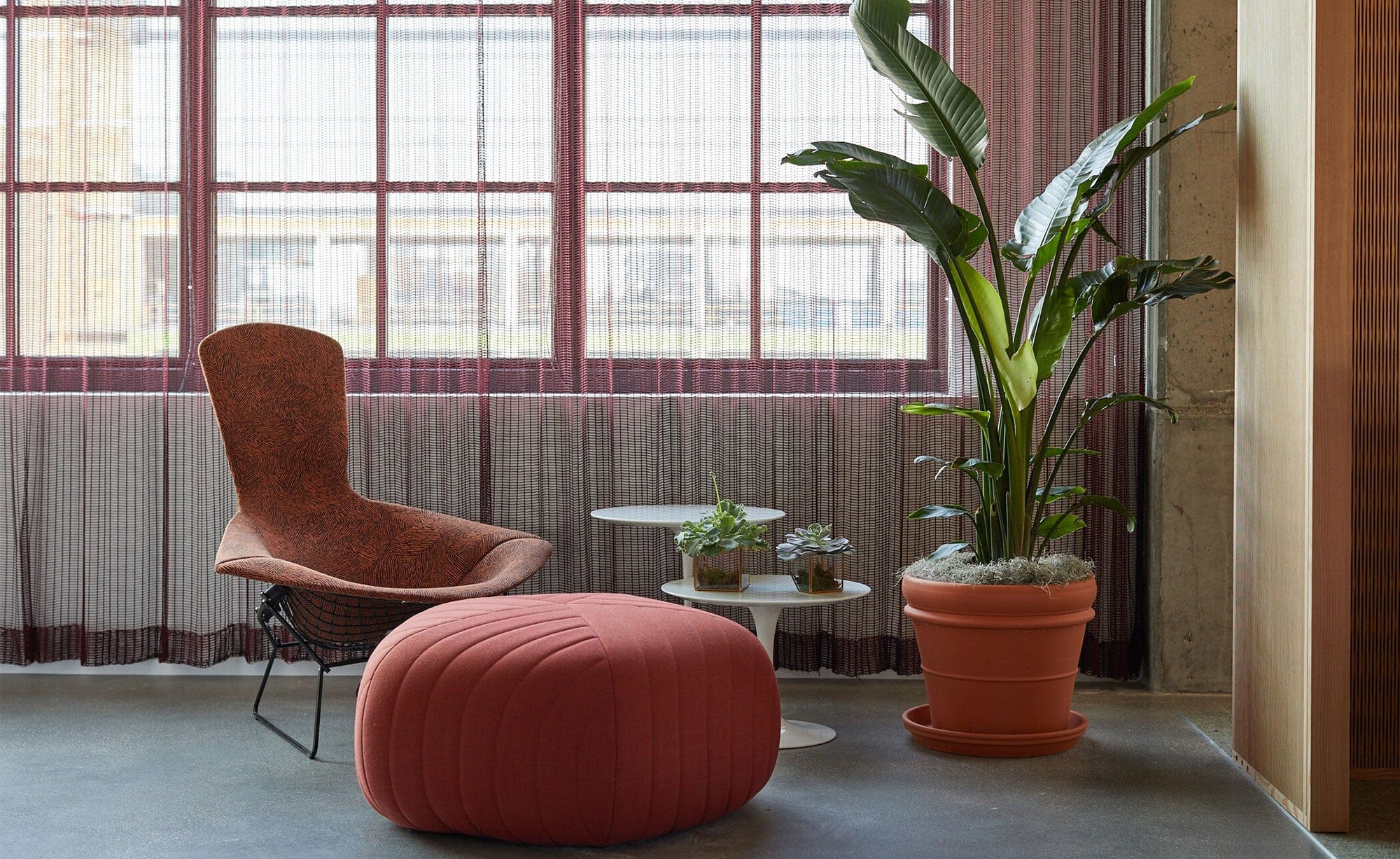 Bertoia Bird Chair lounge chair Knoll 