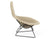 Bertoia Bird Chair lounge chair Knoll 
