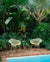 Bertoia Small Diamond Chair with Seat Pad lounge chair Knoll 