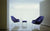 Womb Chair lounge chair Knoll 