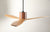 LeatherLuxe DC Ceiling Fan Ceiling Fans Modern Fan Co 