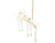 Perch Light Branch