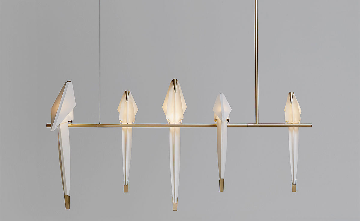 Perch Light Branch