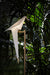 Perch Light Floor Lamp