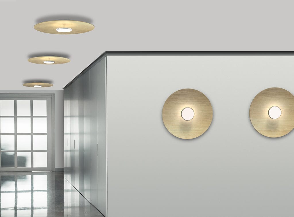 Sky Dome Flush Wood Ceiling/Wall Lamp wall / ceiling lamps Pablo 