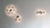 Fiore Wall/Ceiling Light wall / ceiling lamps Oluce 