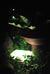 Stones Outdoor Lamp