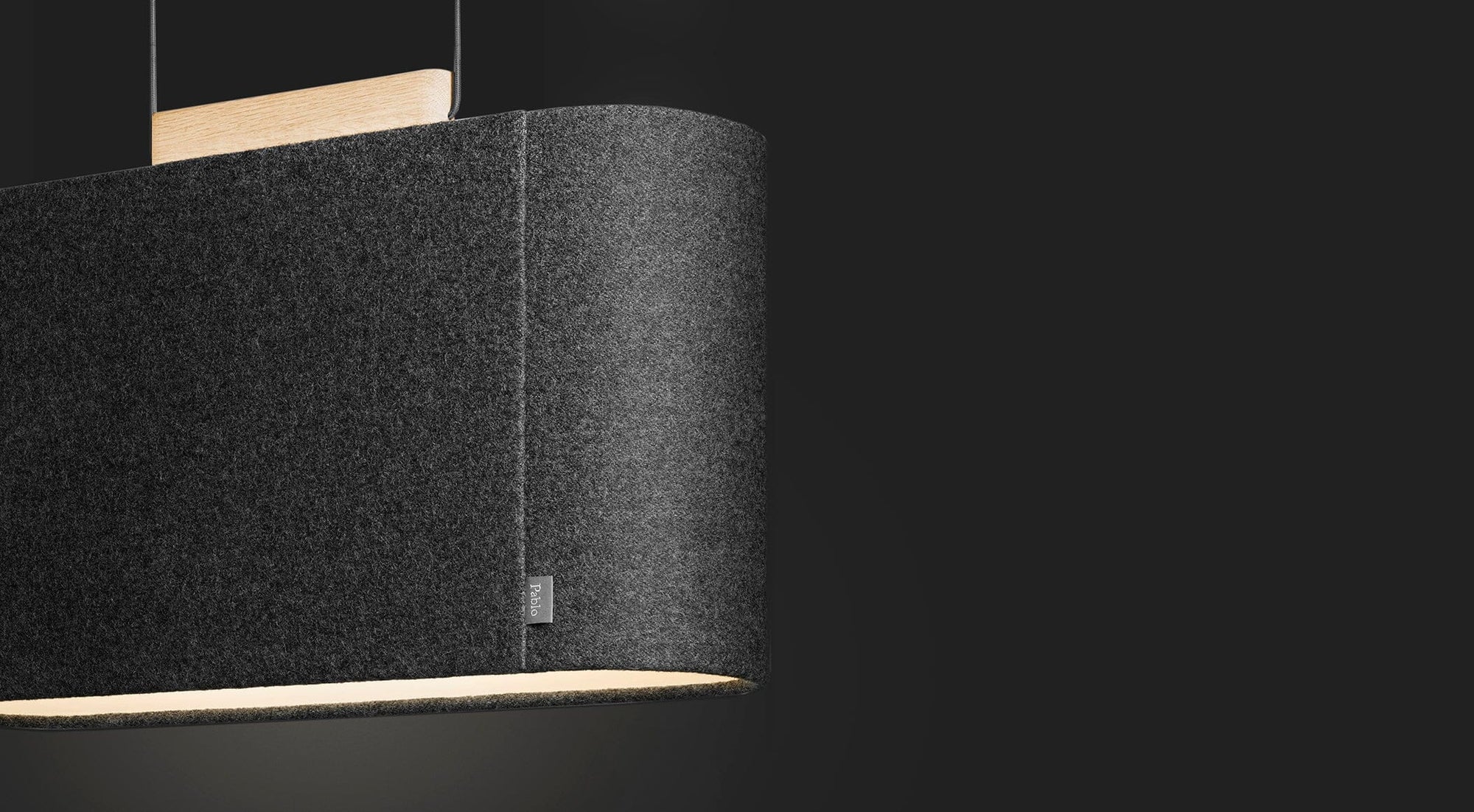 Belmont Pendant ceiling lights Pablo 