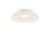 Totem Flush Mount Light