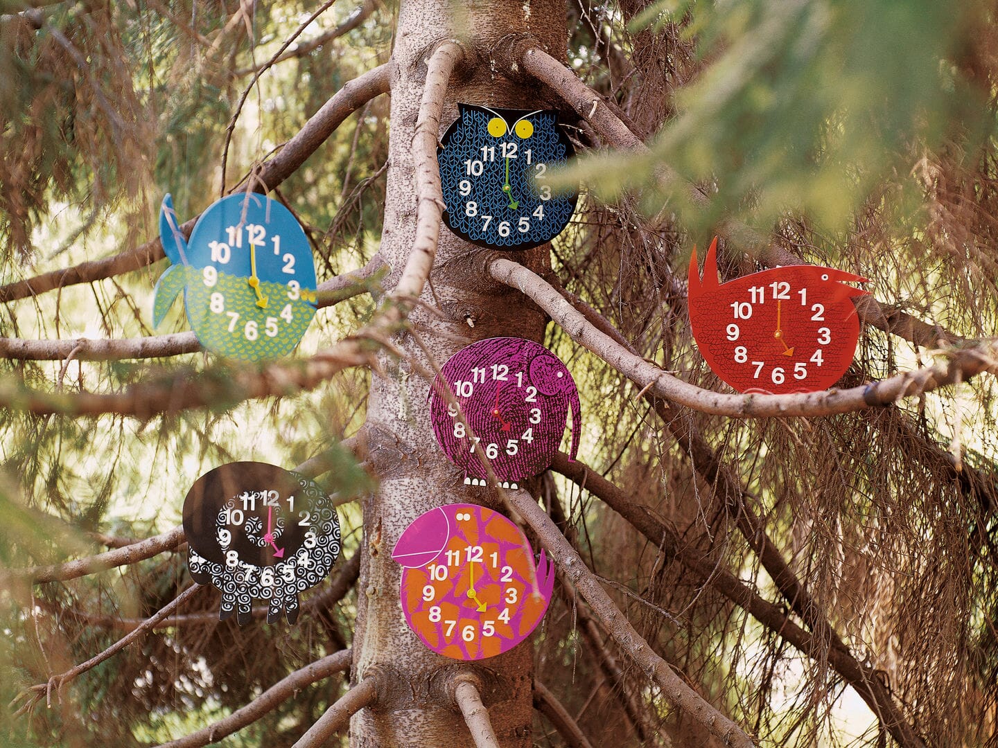 Fernando The Fish Zoo Timer Clocks Vitra 
