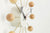 Nelson Ball Clock - Cherry clock Vitra 