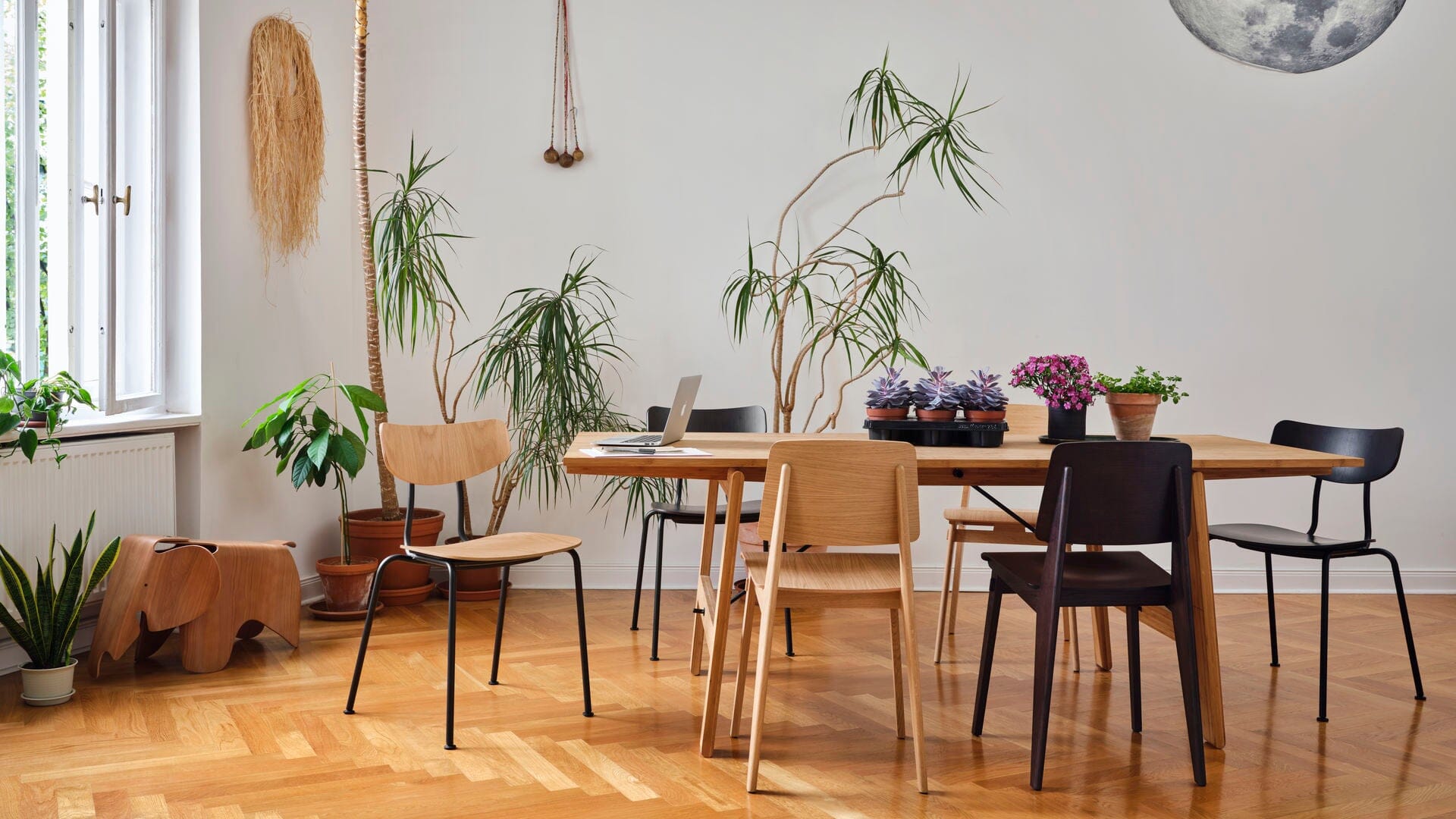 Chaise Tout Bois Side/Dining Vitra 