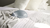 Resting Cat Accessories Vitra 