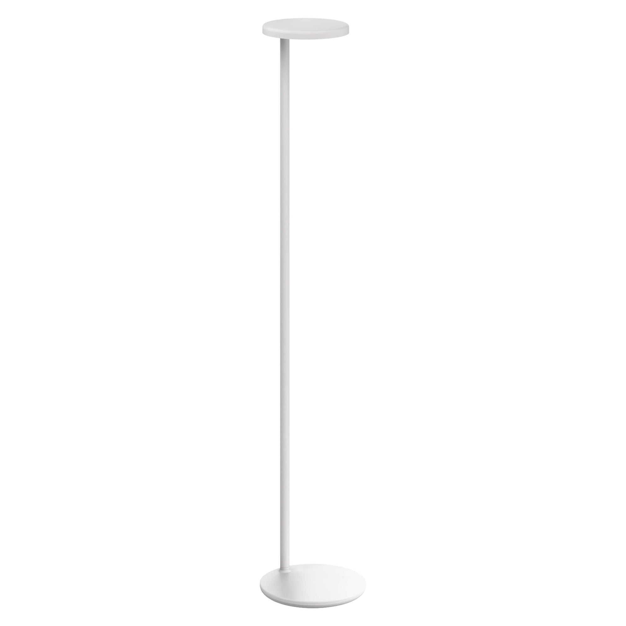 Oblique Floor Lamp