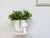 Bellhop Portable LED Table Lamp Table Lamps Flos 