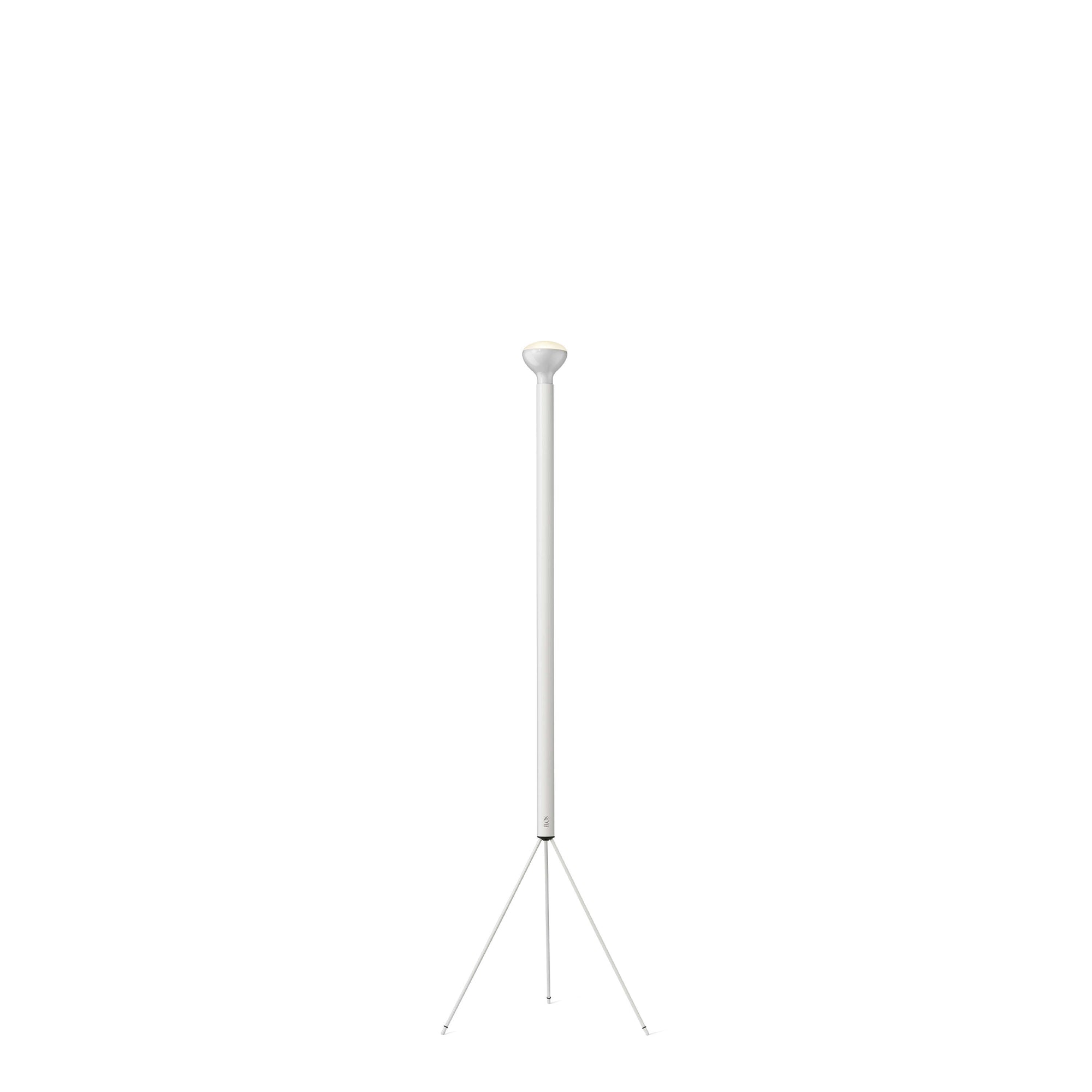 Luminator Floor Lamp