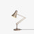 90 Mini Mini Desk Lamp Desk Lamp Anglepoise Warm Silver & Blush 