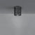 Fiamma LED Ceiling Light ceiling lights Artemide Fiamma 15 Anodized Black 
