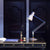 Type 75 Desk Lamp - Paul Smith - Edition Two Table Lamps Anglepoise 