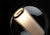 Bel Occhio Table Lamp Table Lamps Pablo 