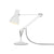 Type 75 Desk Lamp Desk Lamp Anglepoise Alpine White 