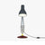 Type 75 Paul Smith Desk Lamp - Edition 4 Desk Lamp Anglepoise 