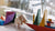 Miniature Eames Plywood Elephant by Vitra Art Vitra 